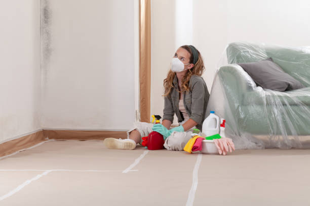 Reliable Mold Remediation contractor in Kincheloe, MI by 24 Hour Mold Removal
